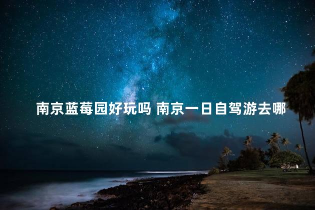 南京蓝莓园好玩吗 南京一日自驾游去哪里好玩